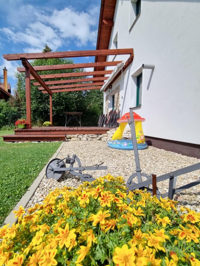 Dum A Chatka Pod Smrkem Nove Mesto pod Smrkem Exterior foto